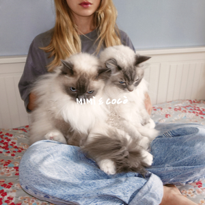 Mimì e Cocò