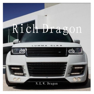 《Rich Dragon》（prod by.Yoo2)