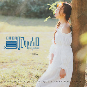 明明喜欢你却不敢告诉你 (DJ版)