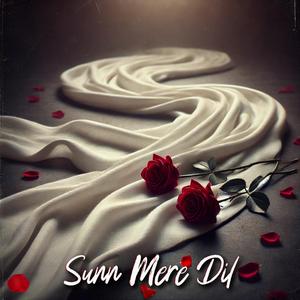 Sunn Mere Dil (Male Version)