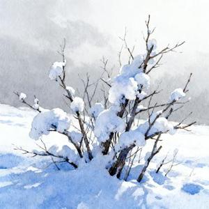 雪藏 (Cover Y-D & 呆呆破)