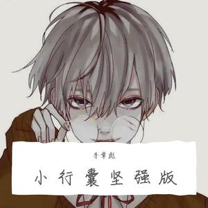 小行囊坚强版（翻自 马建涛）