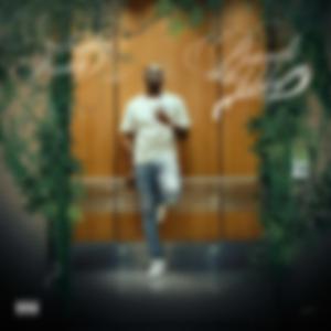 Real Far (feat. Big Quis)