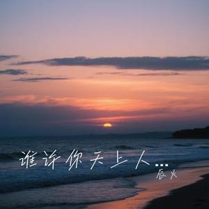谁许你天上人间 (Cover 周深深)