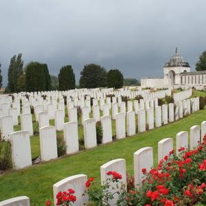 Flanders Fields