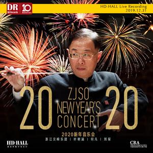 ZJSO：鸽子与少年