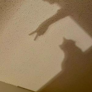 luv u 2 (Prod. Snorkatje)