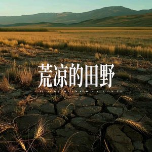 风吹过荒凉的田野