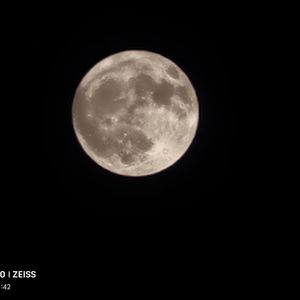 青山暮色槐花飞