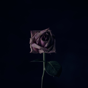 초라한 내 모습