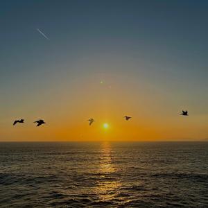 maybe in another universe