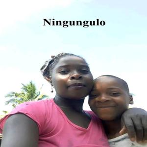 Ningungulo