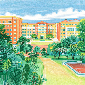 风吹过的蒲公英