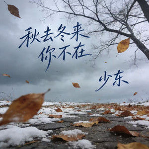 秋去冬来你不在（伴奏）