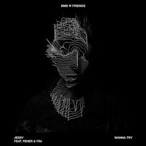 Wanna Try (Radio Edit)