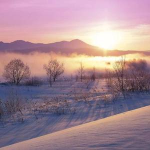 倘若那天把话说清（纯音乐）