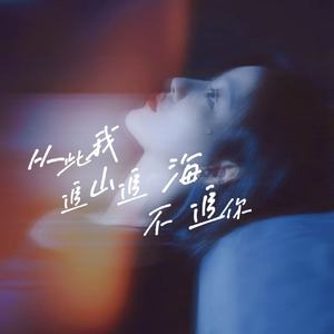 从此我追山追海不追你(伴奏)