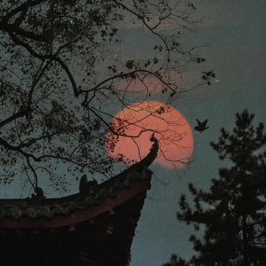 对影一双人