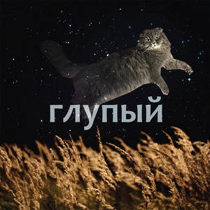 Глупый (Dradis Contacts remix)