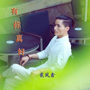 有你真好（老夫老妻的歌）