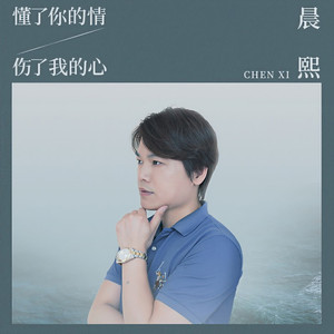 懂了你的情伤了我的心 (伴奏)