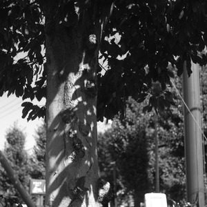 螺旋 (feat. 裏命)