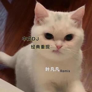 爱的初体验(DJ叶凡凡版)