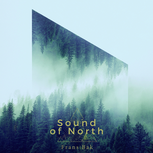 Theis & Pernille (From "The Killing", DK)