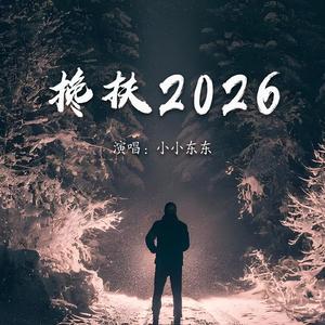 搀扶2026