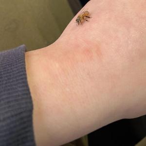 Another day (same shit)