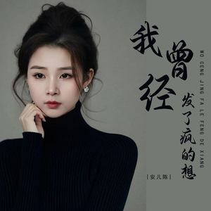 我曾经发了疯的想 (DJ李想版)