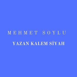 Yazan Kalem Siyah