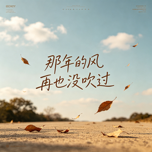 那年的风再也没吹过