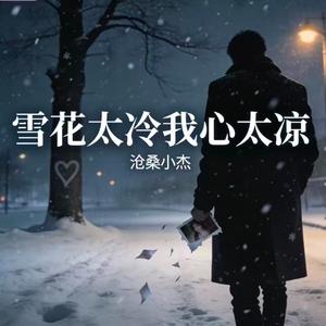 雪花太冷我心太凉