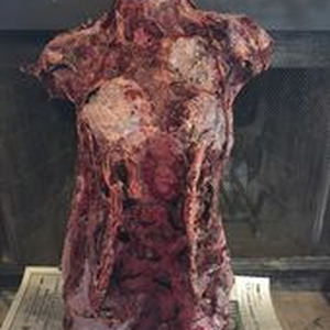 all girls are same (Sped Up)