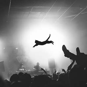 我想在年轻的时候死去