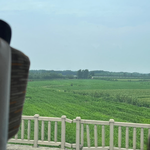 红色高跟鞋（翻唱隔壁老樊）.mp3