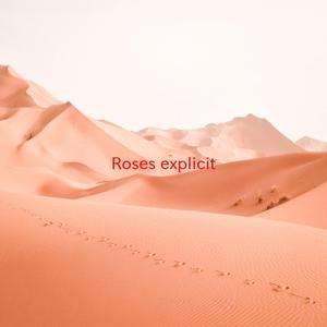 Roses (explicit) (Instrumental version originally performed by Kanye West)