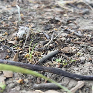 我想一个人待一会儿