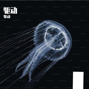 驱动