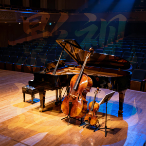 花落花开无人归来（思念主题 1 情感升级）