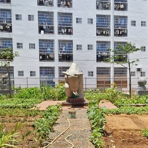 我们乐东人(学生合唱)