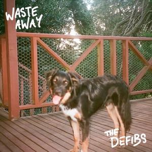 Waste Away