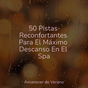 Sueño Brumoso en Movimiento