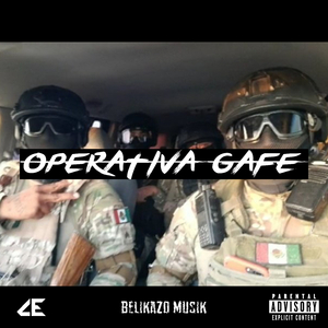 Operativa GAFE
