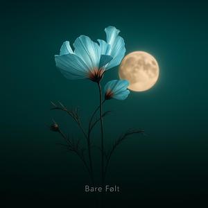 Bare Følt