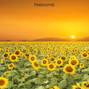 Firebomb