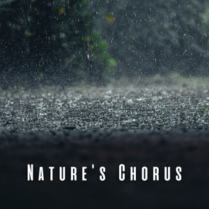 Tranquil Waterside Notes