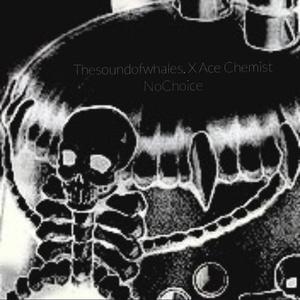 NoChoice (feat. Ace Chemist)