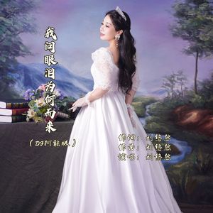 我问眼泪为何而来（DJ阿能版）